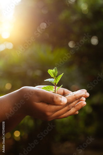 Hand holding a young tree sapling,caring for plants
