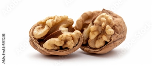 Fresh whole walnuts on clean white background for healthy snack and ingredient in recipes