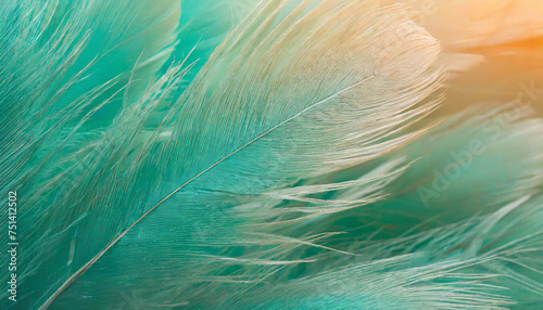 beautiful green turquoise color trends feather texture background with orange light