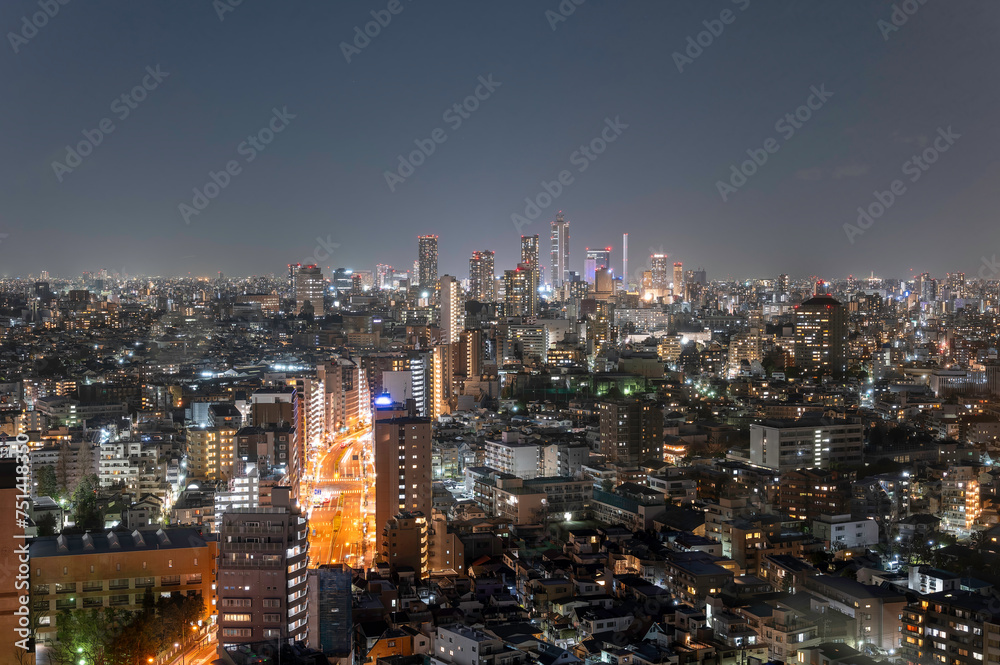 東京都文京区後楽園から見た東京の夜の都市の景色