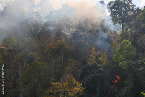 Forest in Thailand during the hot daytime was being burnt with a lot of smoke streaking up into the sky.