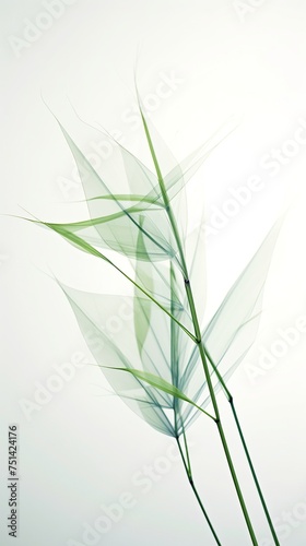 Abstract white green bamboo leaves on soft background