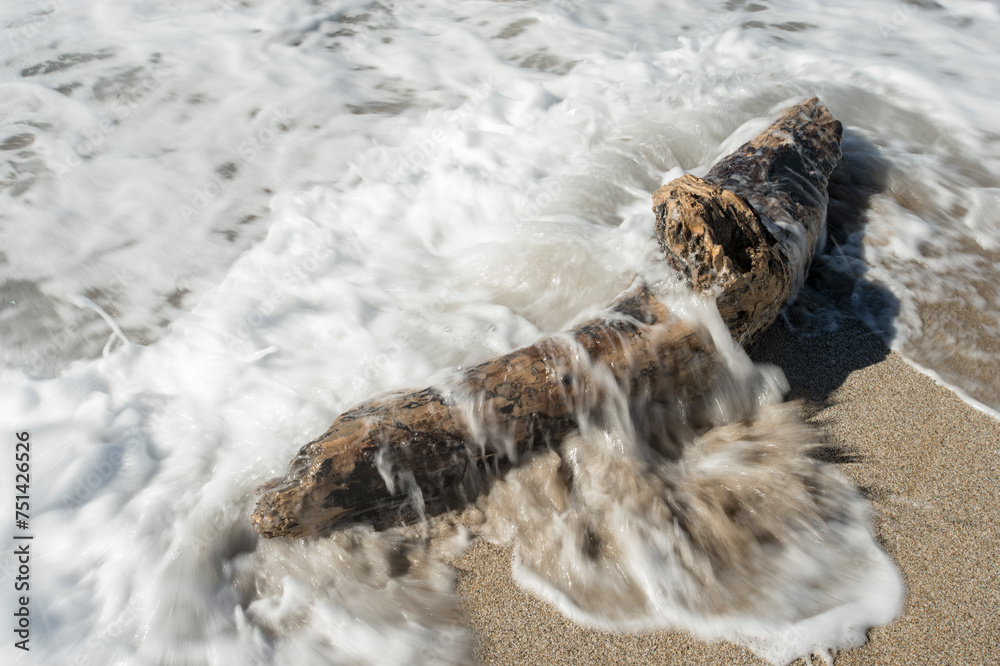 surf and trunk on the shoreline. Argentiera, Sassari Sardinia, Italy