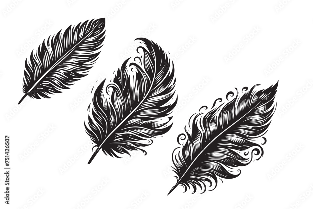 Obraz premium set of feathers Vactor