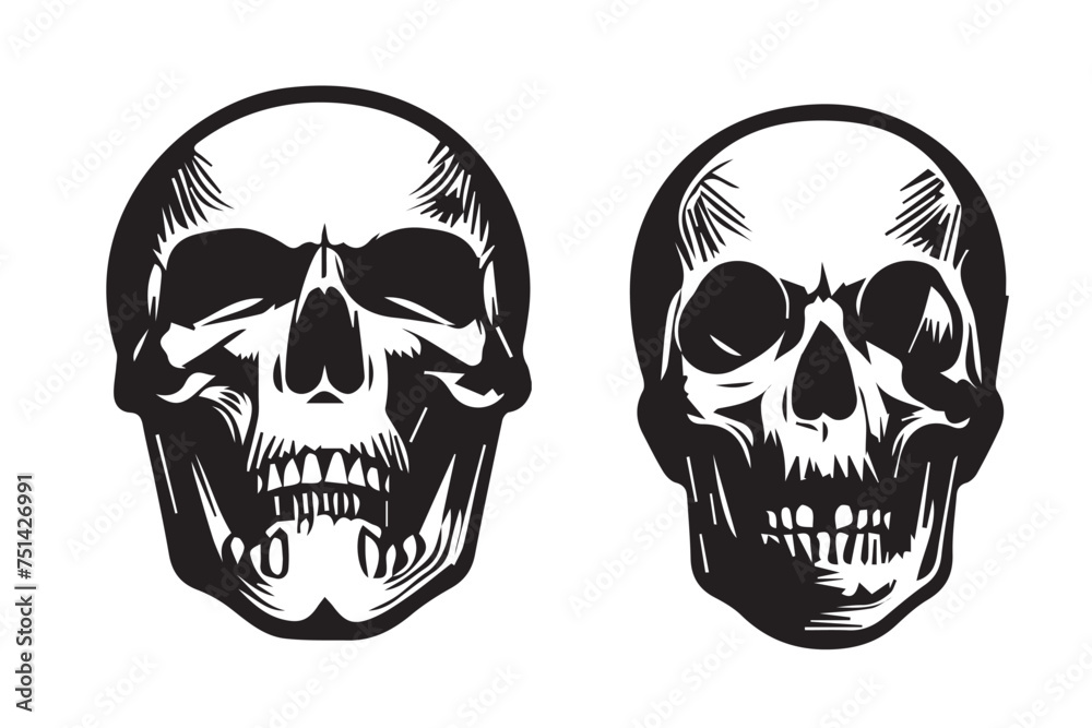 skull vector illustration skull vector illustration