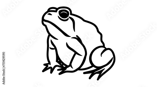 Frog icon. Frog sign isolated on white background. Vector illustration