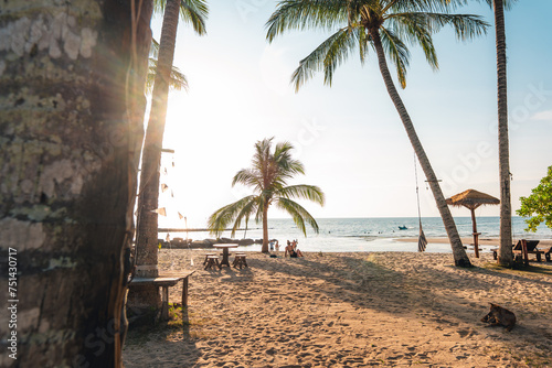 Fototapeta Naklejka Na Ścianę i Meble -  Palm trees on an island by the beach in the morning