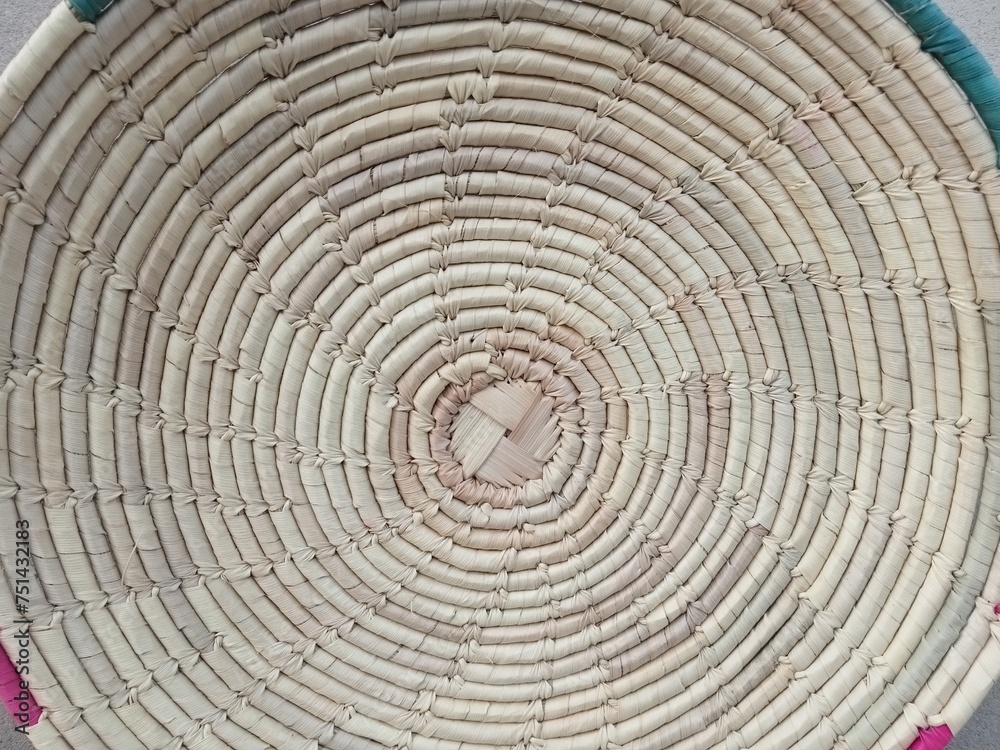 Fototapeta premium cross section of tree trunk