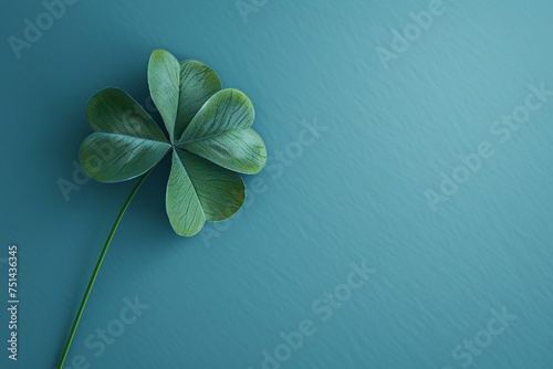 a four leaf clover on a blue surface photo