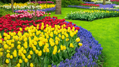 Planting a circular flower beds. Round flower bed ideas. Tulips and hyacinths in the garden close-up.  Flower bed design with concentric circles. Ideal lawn. Landscape ideas for spring gardens.
