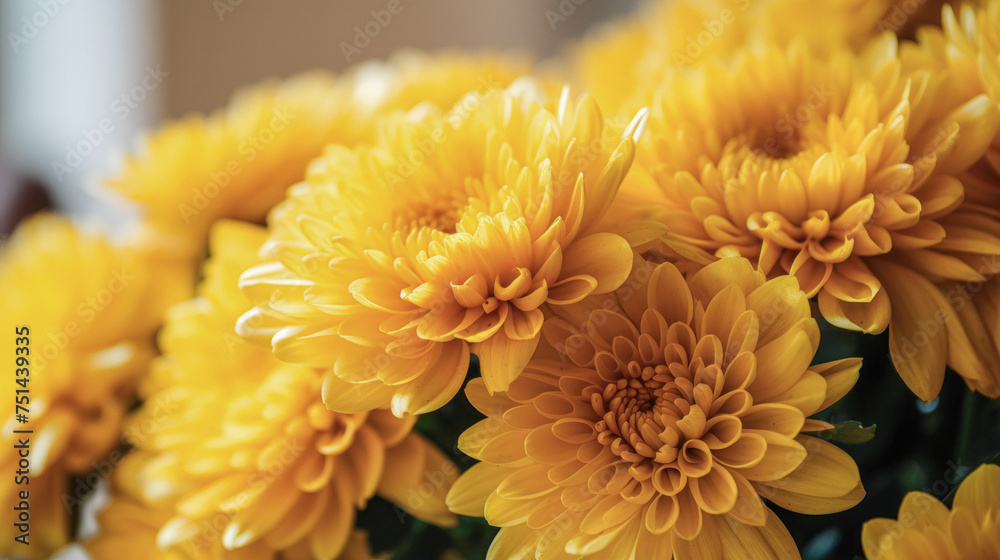 yellow flowers in spring yellow flowers in spring