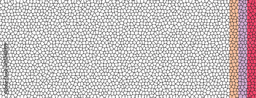 Stone cell background pattern vector, black white glass mosaic texture illustration, random geometric pebble tile grid graphic, gravel net mesh scale, rough skin leather backdrop template image