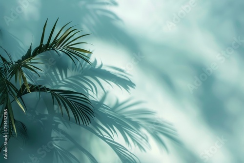 A palm tree casts a shadow on a blue sky