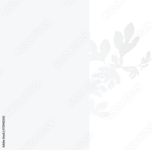 shadow of leaves of plant on white color wall background. Used for backgrounds, cardboards, tropic concepts, autumn for product presentation podium and mockup. Editable. EPS 10