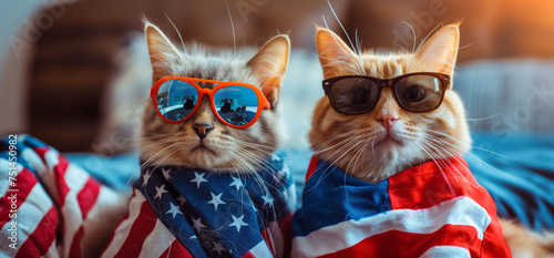 Two adorable cats wrapped in an American flag scarf wear cool sunglasses, embodying patriotic flair photo