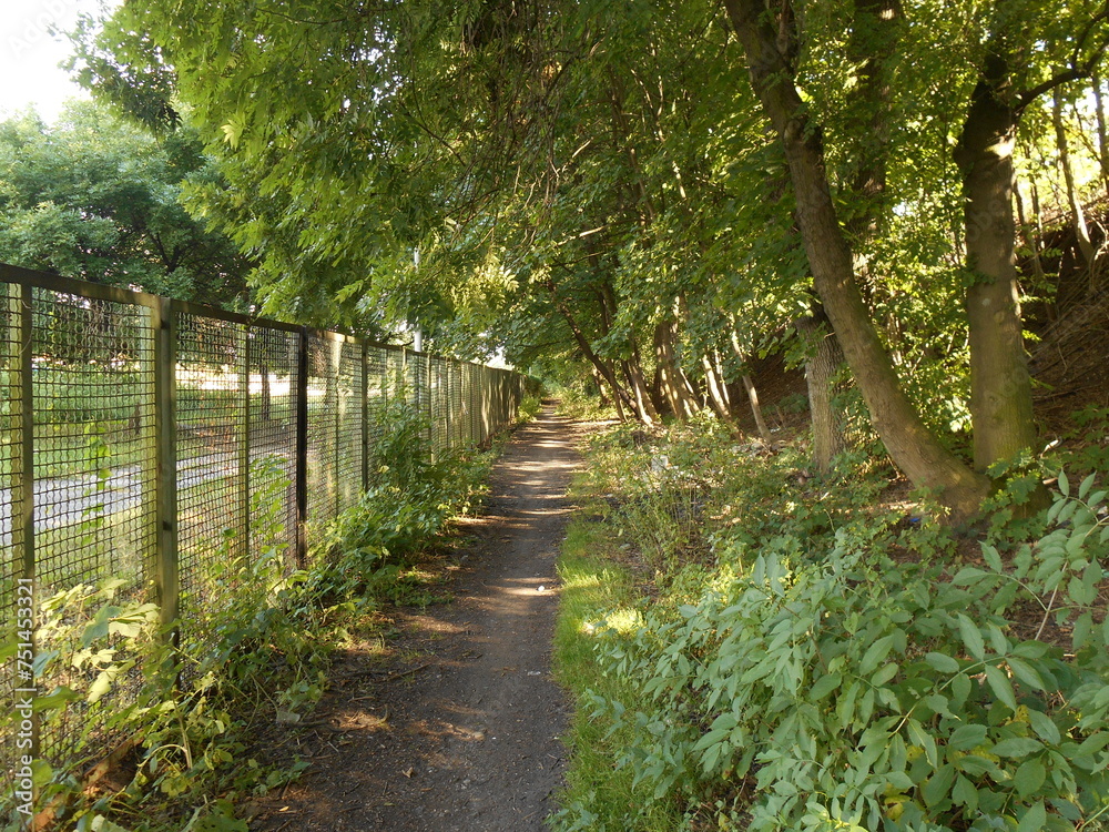 A path along the fence, lots of trees and bushes A path along the fence, lots of trees and bushes