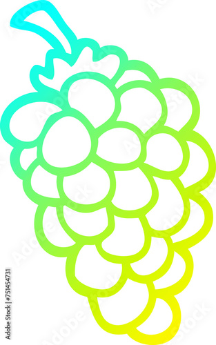 Obraz na plátně cold gradient line drawing cartoon bunch of grapes