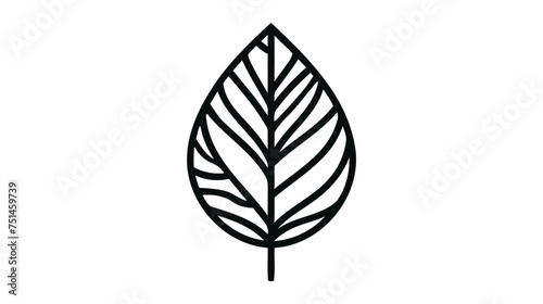 leaf icon vector  in flat style isolated on white background. leaf icon image illustration