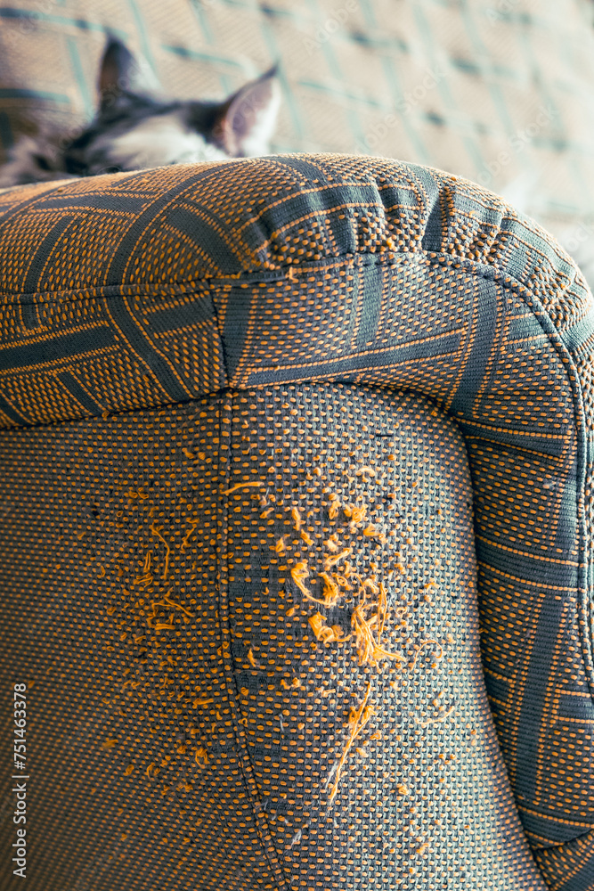 The sofa has been scratched by a cat. The sofa has been scratched by a cat.