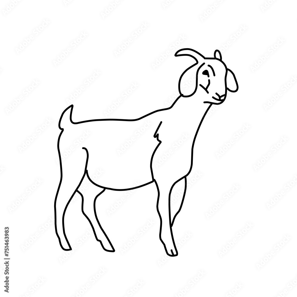 Obraz premium Outline draw goat