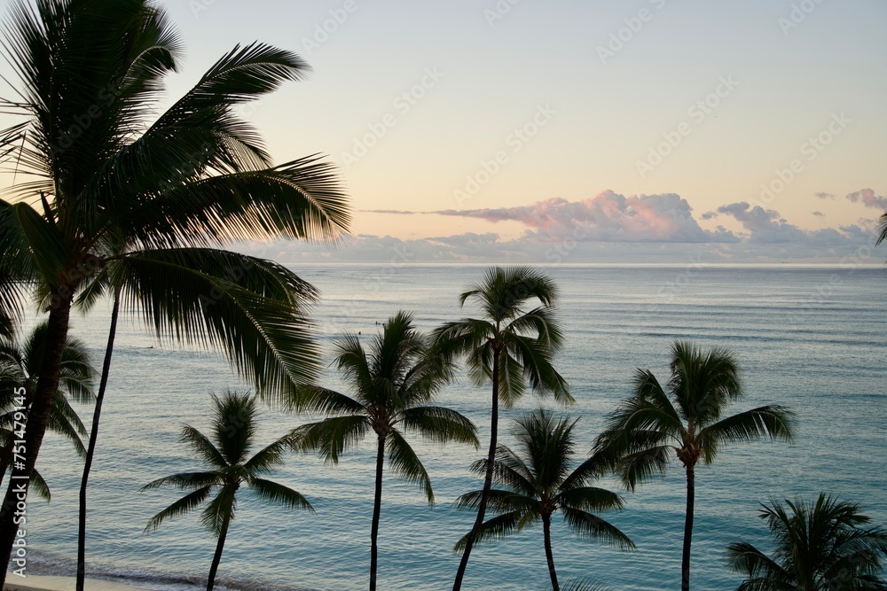 Hawaiian palm trees and a view of the calm ocean at sunset