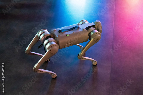 Quadruped dog robot for help and guidance with autonomous technology.