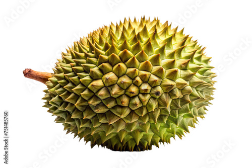 durian fruit on a transparent background photo