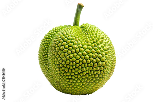 jackfruit on a transparent background