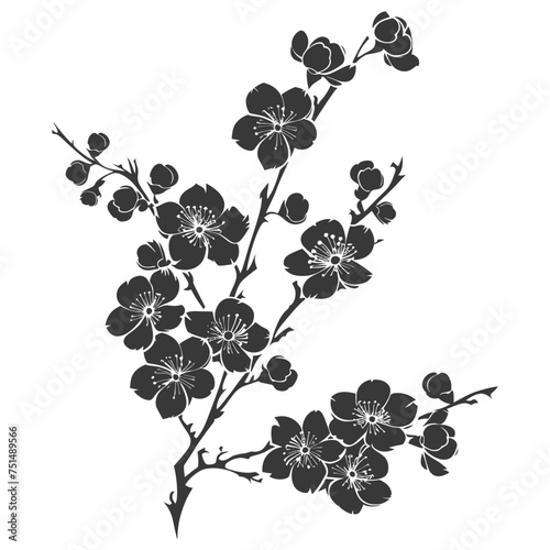 Silhouette Cherry blossoms or sakura flower black color only