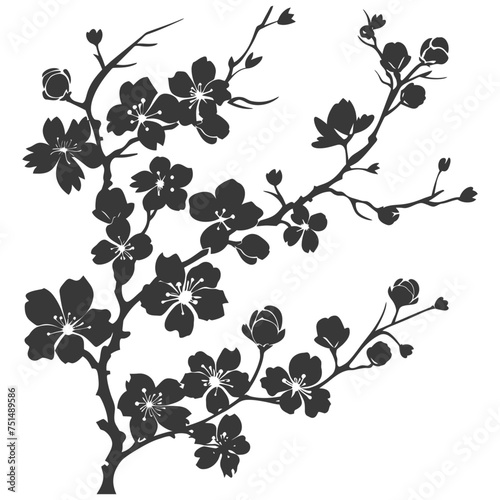 Silhouette Cherry blossoms or sakura flower black color only