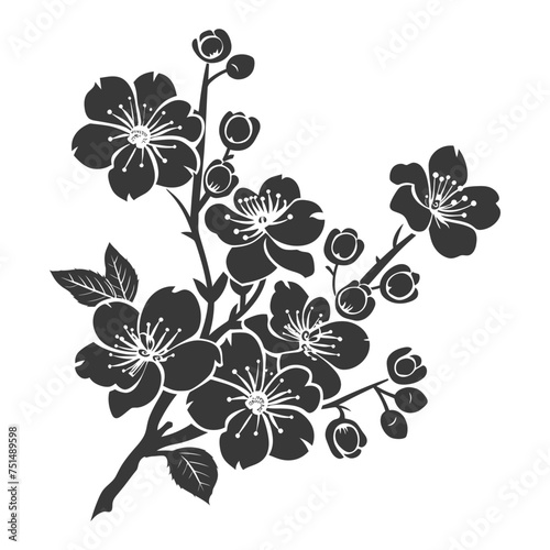 Silhouette Cherry blossoms or sakura flower black color only