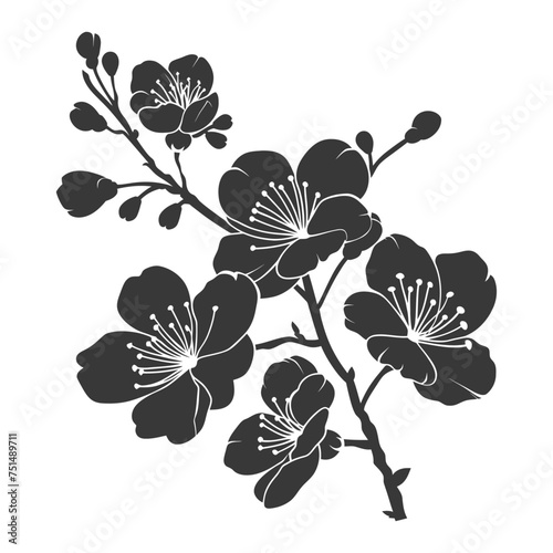 Silhouette Cherry blossoms or sakura flower black color only
