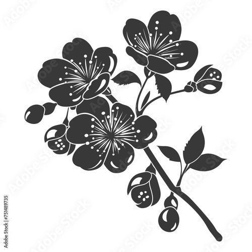 Silhouette Cherry blossoms or sakura flower black color only