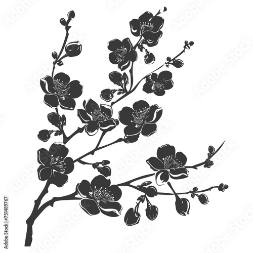 Silhouette Cherry blossoms or sakura flower black color only