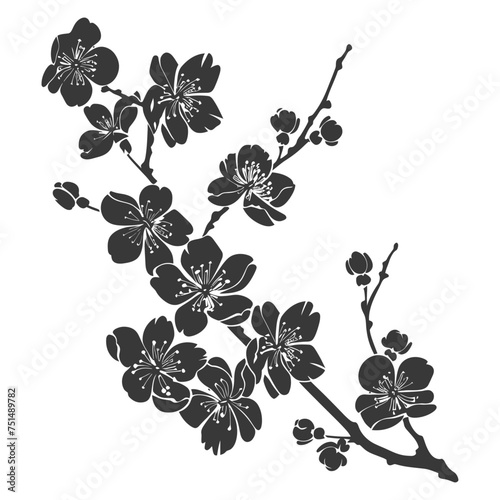 Silhouette Cherry blossoms or sakura flower black color only