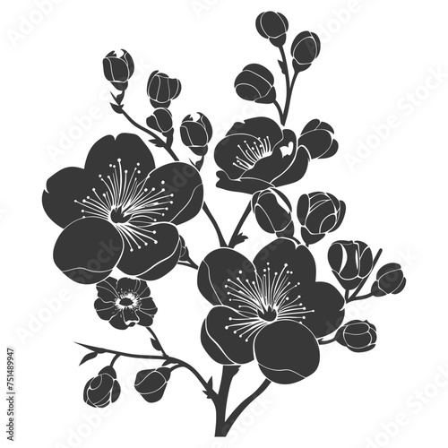 Silhouette Cherry blossoms or sakura flower black color only