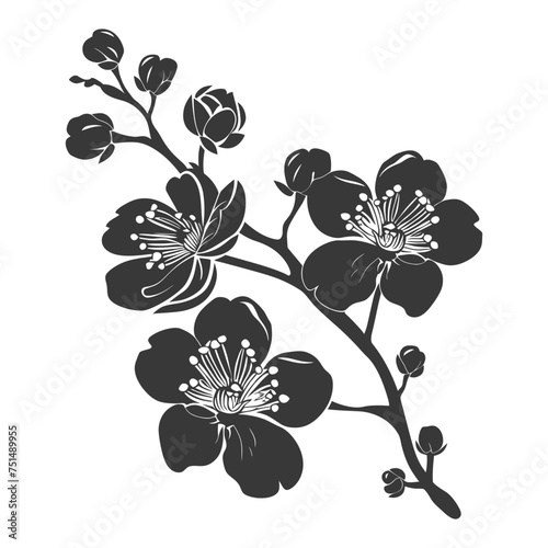 Silhouette Cherry blossoms or sakura flower black color only