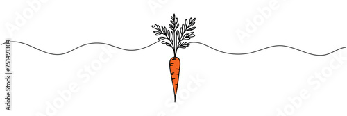 Carrot vegetable in continuous line drawing style isolated on white background. Vector illustration.