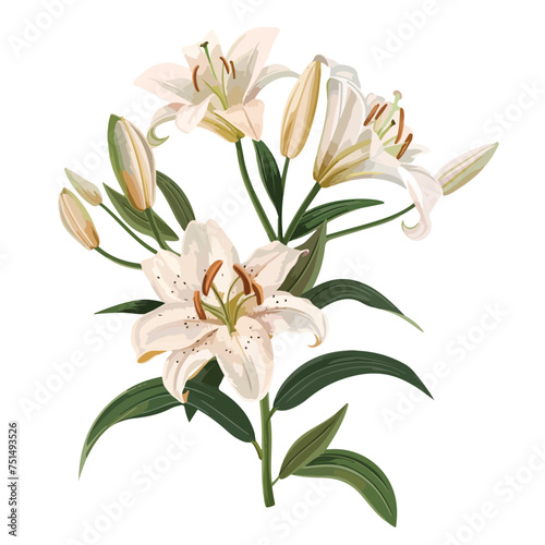 Elegant blooming lilies with buds cut out flat vector © Blue