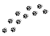 Wolf paws. Animal paw prints, different animals footprints black on white vector  illustration