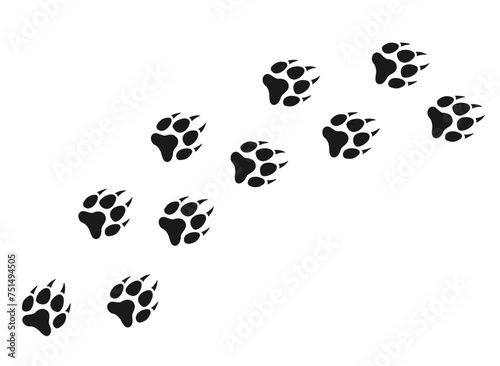 Wolf paws. Animal paw prints, different animals footprints black on white vector  illustration © Alina