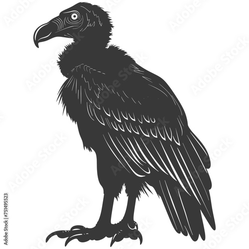 Silhouette vulture bird animal black color only