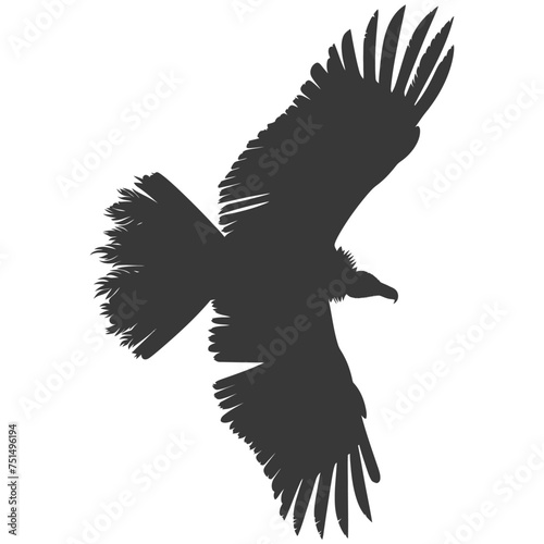 Silhouette vulture bird animal fly black color only