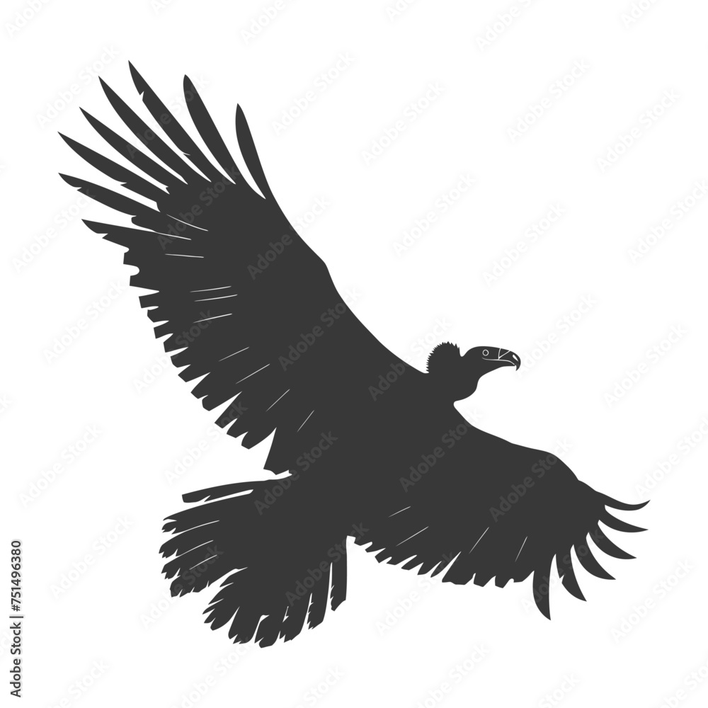 Obraz premium Silhouette vulture bird animal fly black color only