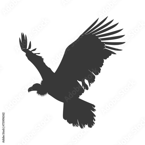 Silhouette vulture bird animal fly black color only