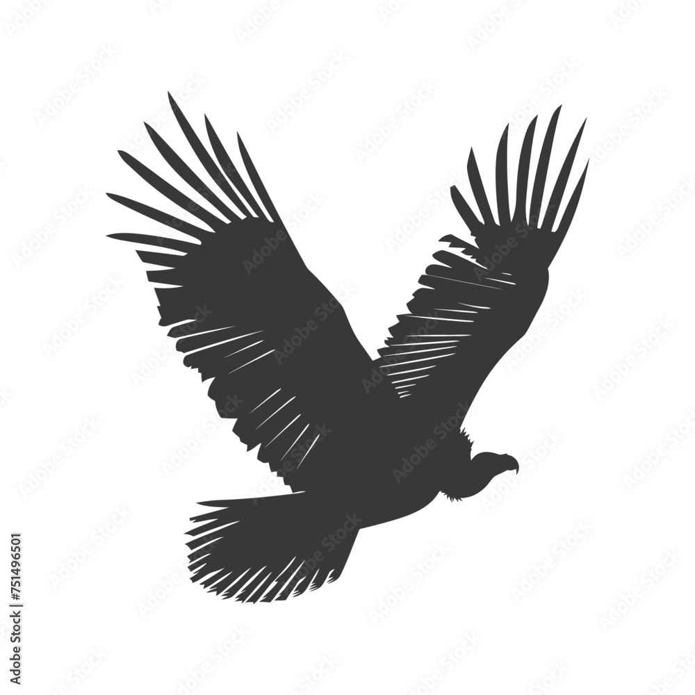 Silhouette vulture bird animal fly black color only