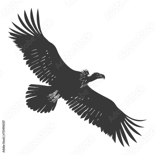 Silhouette vulture bird animal fly black color only