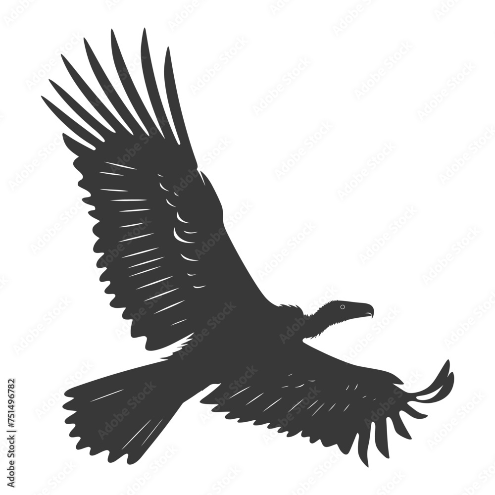 Obraz premium Silhouette vulture bird animal fly black color only