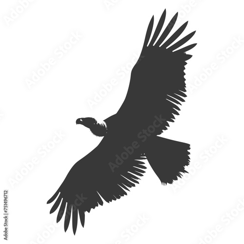 Silhouette vulture bird animal fly black color only