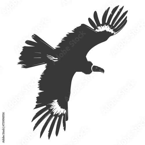 Silhouette vulture bird animal fly black color only